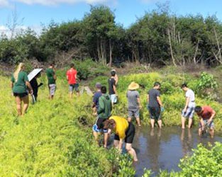 PLAN 101 & 310: Fishpond Site Visit